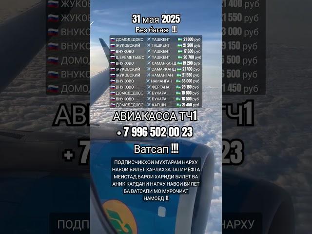 Нархи билет 31 мая #авиакасса #aviakassa_tj1 #самарканд #ташкент #бухоро #навои #карши #наманган