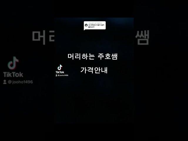 머리하는주호쌤 가격안내