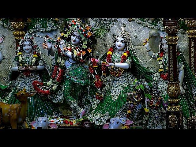 12th Nov. '24 | Sringar Aarti Darshan | Sri Sri Radha Gopinath Mandir | ISKCON Chowpatty Mumbai.