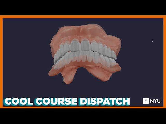 Cool Course Dispatch: Simulation Removable and Implant Prosthodontics