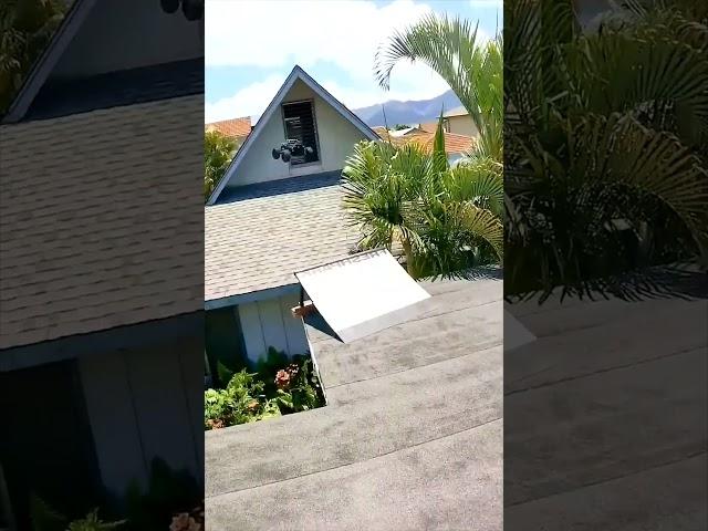 Talented RC car driver