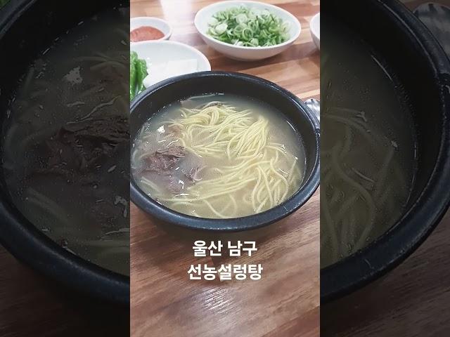 선농설렁탕 #울산남구 #선농설렁탕 #오늘점심