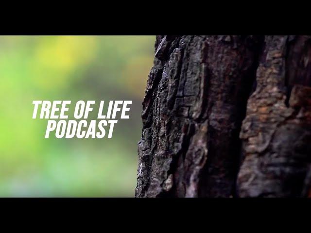Tree of Life-UC Davis: Jason Bond