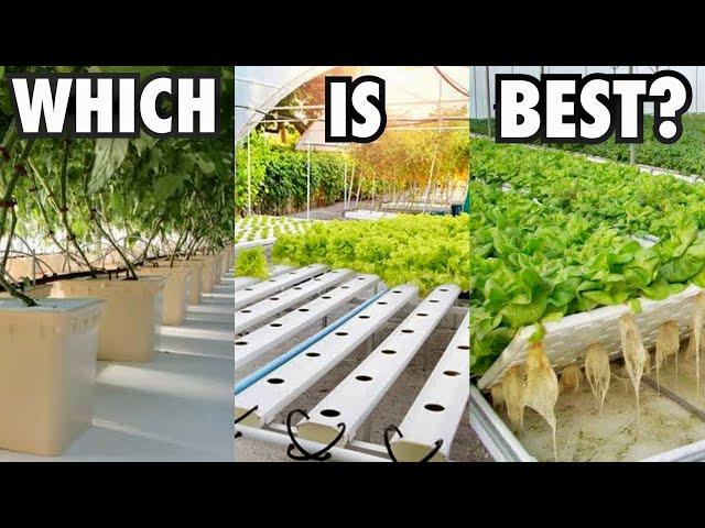 Which Hydroponic System Should You Choose?