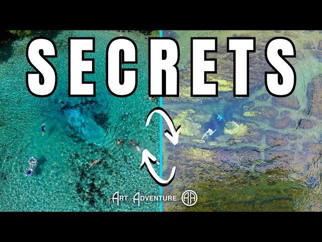 The Secret to Choosing your next Florida Spring