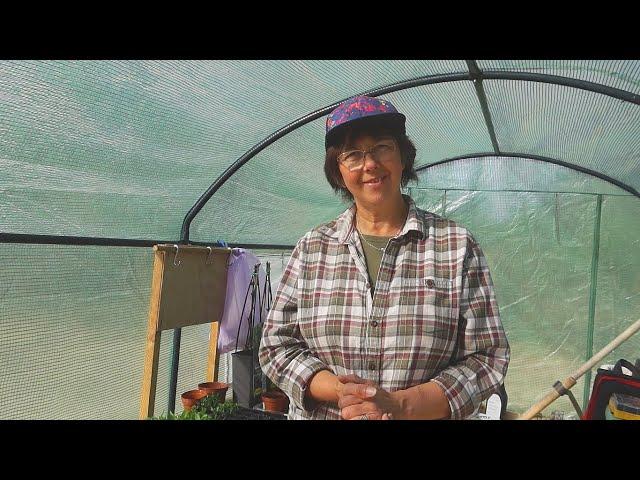 25. Castelo Branco Vlog & PolyTunnel Tour | Gardening on our Land in Central Portugal