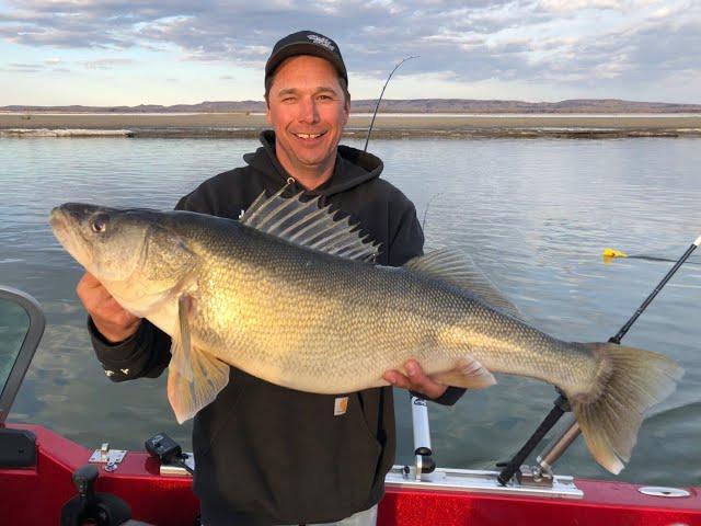 Top 10 Walleye Fishing Lakes in North Dakota