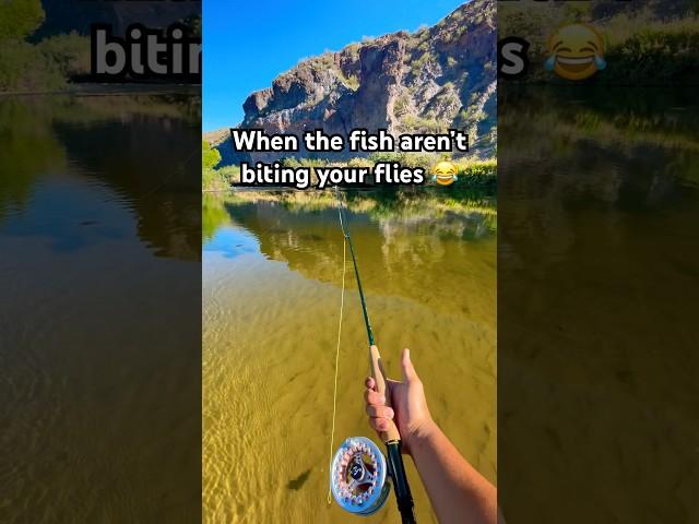 Caught a Buzz  #Shorts #Trending #flyfishing #troutfishing #trout #funny #fishingislife #fyp
