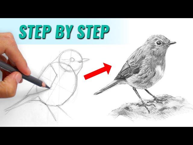Five Key Steps For Successful Pencil Drawing