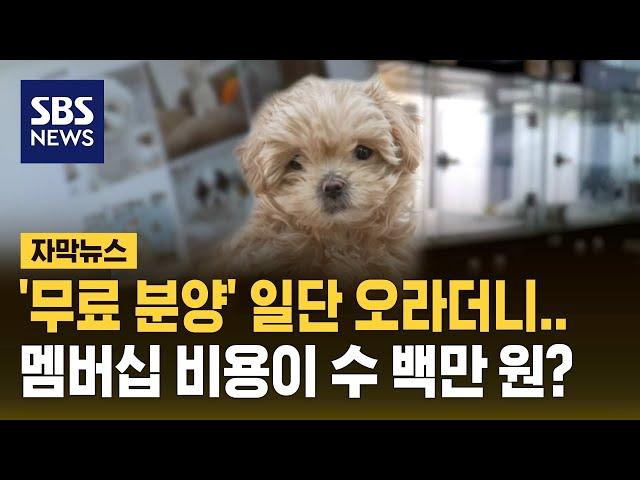 '무료 분양'이라더니…멤버십 비용으로 수백만 원 내라? (자막뉴스) / SBS