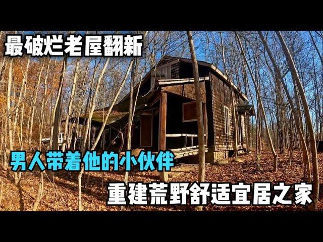 这是我见过最破烂的老屋翻新，男人带着他的小伙伴，重建荒野舒适宜居之家