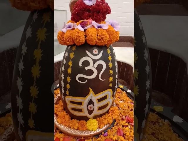 ravivaar shivalaya shingaar@factstolearn990 #shorts #kamboj #shortvideo#youtubeshorts #shiv #shivalaya