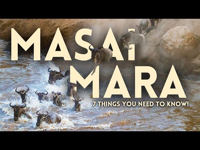 7 things you need to know before going on safari to the Masai Mara!