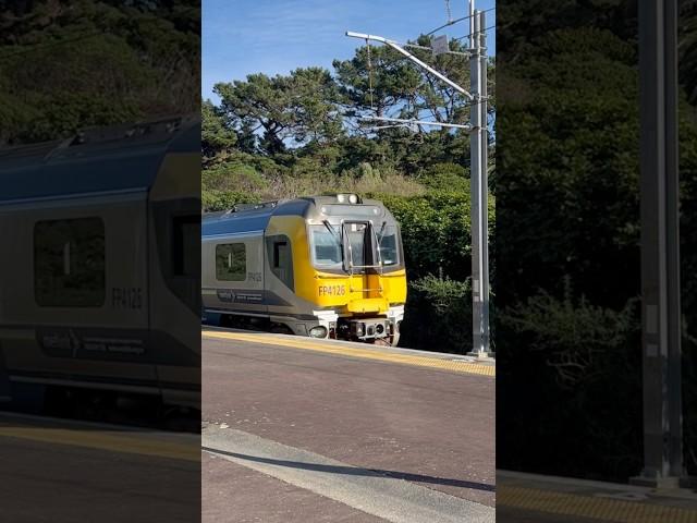 The set FP4126 at Pukerua bay