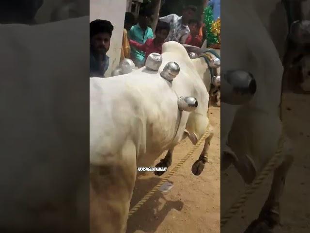 GUESS IT..? #tamilsong #song #eruthukattu