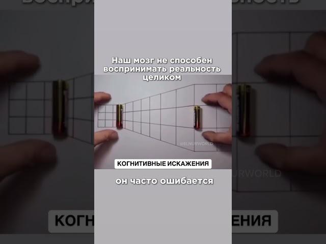  Почему ваши мечты остаются мечтами? #мозг #психология #психосоматика #когнитивнаяпсихология #разум