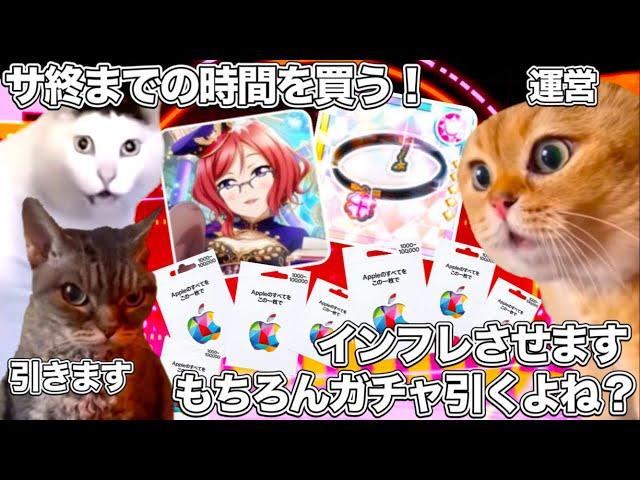 ソシャゲ運営の悪い例と、課金勢の悪い例を同時に完成させるラブライブのソシャゲ【猫ミーム】 #猫マニ #猫ミーム