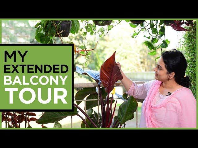 My Extended Balcony Tour | How We Successfully Kept Our Plants Lush and Green Through Out the Year