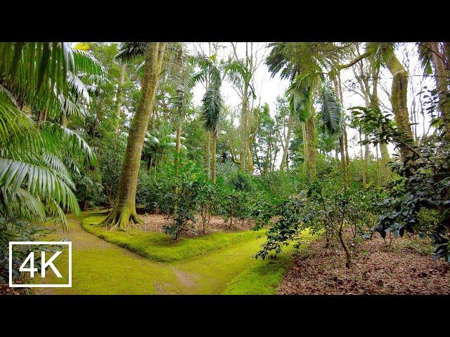 AZORES: Terra Nostra Park, Furnas - São Miguel island