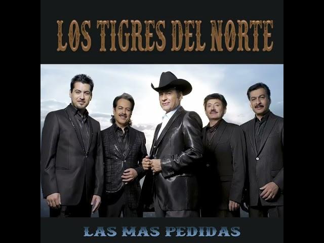 Los Tigres Del Norte • Jefe De Jefes (Audio)