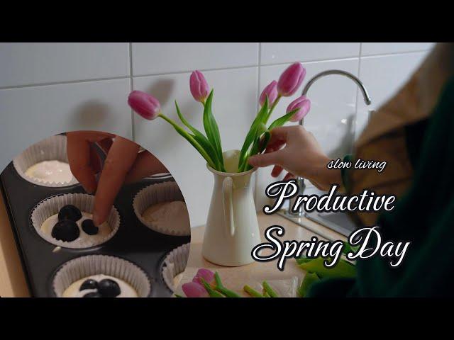 Calm spring day at home | Blueberry muffins| Stay productive 