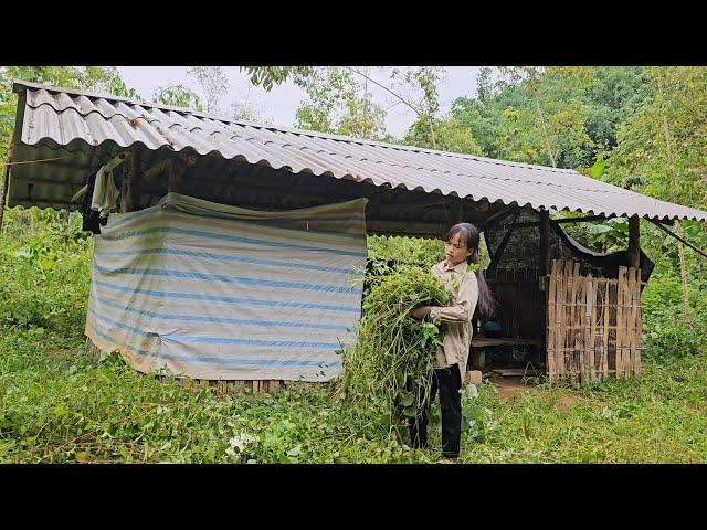 Orphan cleans up abandoned house to make safe haven