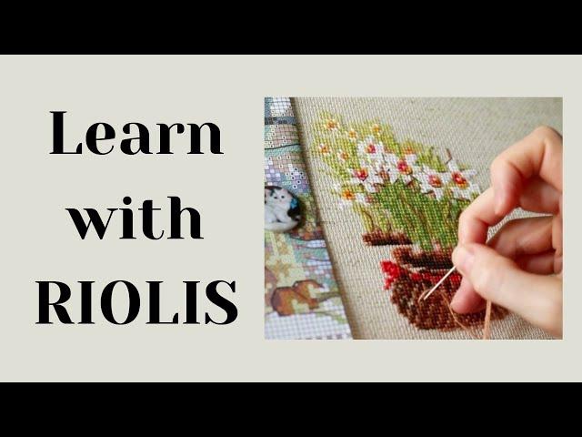 Learn with RIOLIS. Part 1: Opening the kit