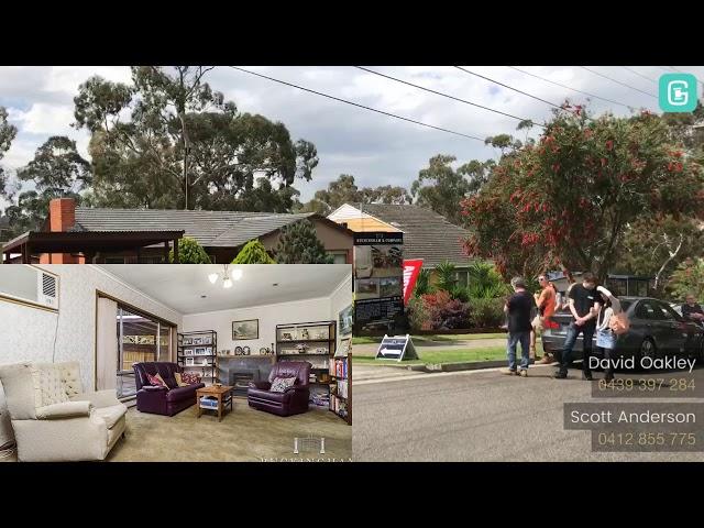 Buckingham & Company Estate Agents   12 Plenty Lane, Greensborough, VIC Highlight Package