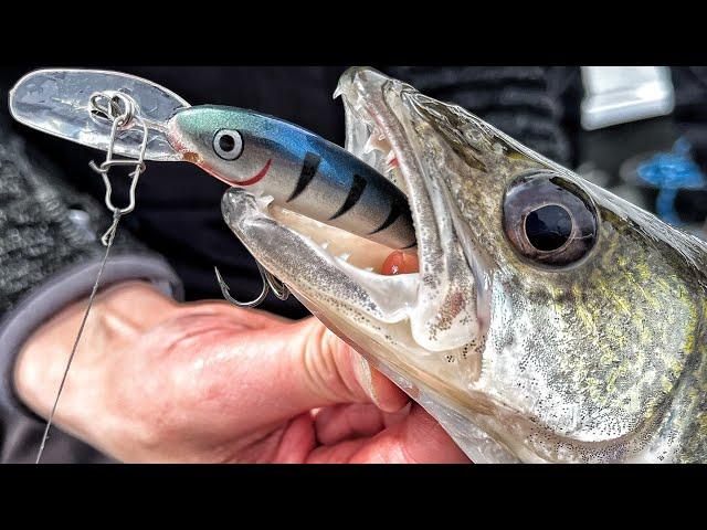 Trolling Cranks for Shallow Spring Walleye