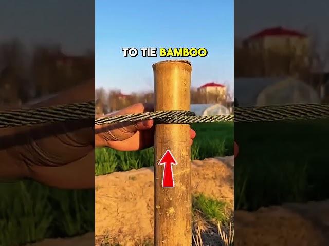 how to give bamboo rope #technology #moderntools #manufacturing