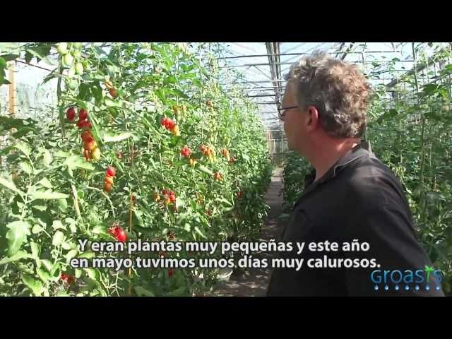 How to grow vegetables with less water with the Groasis Technology?