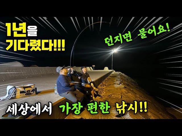 1년을 기다린 이녀석 드디어 터졌다!! 내항에서 던지면 바로 잡는 밥+술도둑 삼시세끼 해결!! 빨리 가는 사람 임자~ 세상에서 가장편한 낚시!