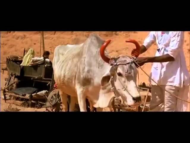 Gypsy movie ~ Latcho drom