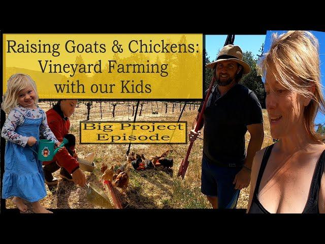 Small Farming with Kids: Big Project Episode: Gardening, Raising Chickens & Goats on the Vineyard.