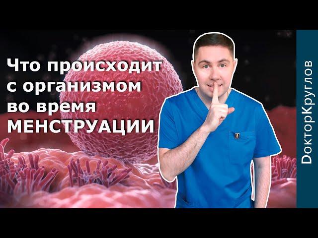 МЕНСТРУАЛЬНЫЙ цикл | КАК это работает | Сложнейший процесс