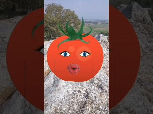 Shadi Kai Lee || Funny Video #shorts