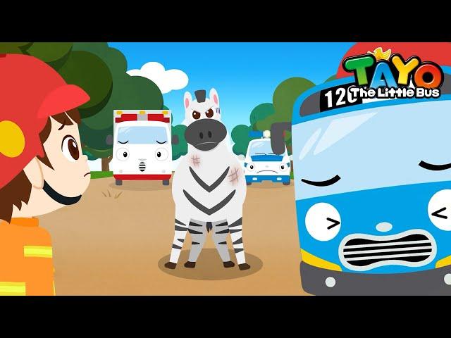 The Zebra Escaped | Tayo Animal Rescue Team | Rescue Team Episodes | Tayo the Little Bus