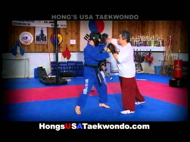 Hong's USA Taekwondo, Habgido, Gumdo Inc