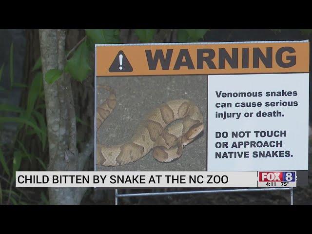 Child bit by copperhead snake at North Carolina Zoo in Asheboro