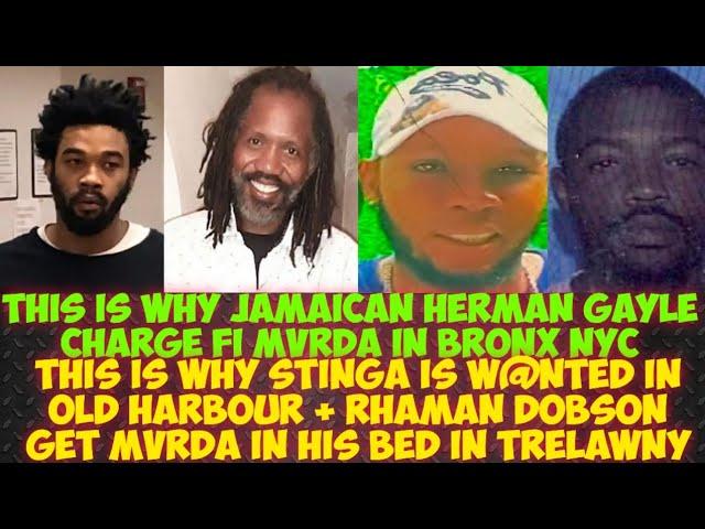 Jamaican Herman Charge Fi MvRDA In NYC/Rhaman Dobson Get MvRDA In His Bed/Stinga W@NTED