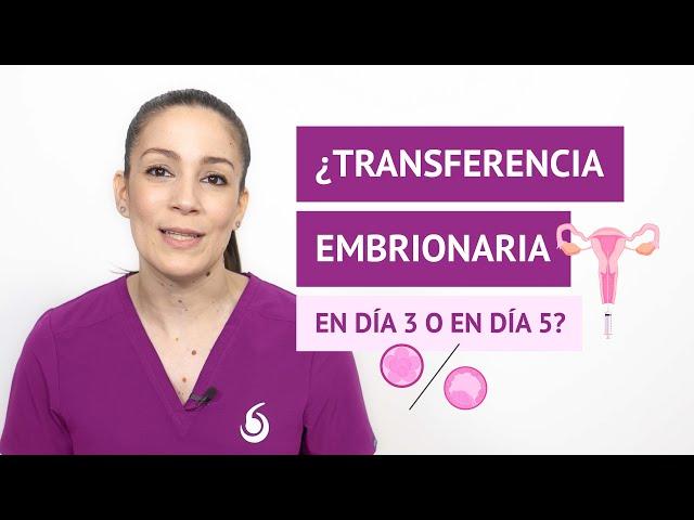 ¿Transferencia embrionaria en día 3 o en día 5?