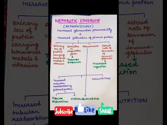 Nephrotic syndrome # notes junction