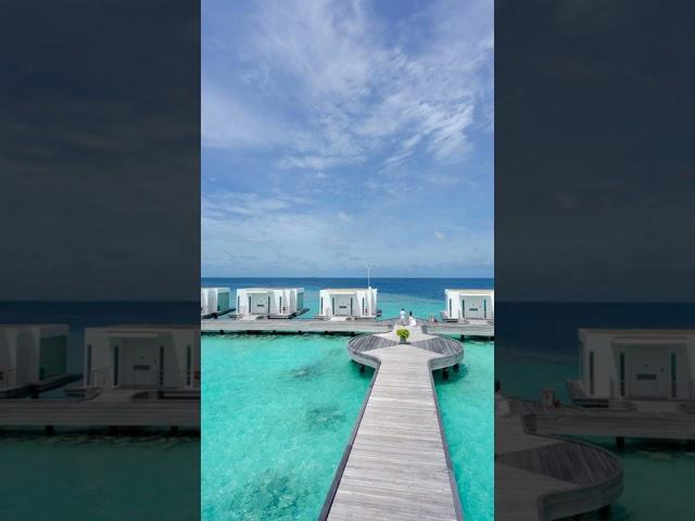  Discover paradise in the Maldives! From pristine beaches to luxurious resorts, your dream ge...
