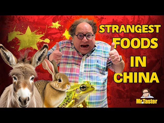 Exploring China’s Wildest Flavors: From Donkey Burgers to Ant Hotpot!