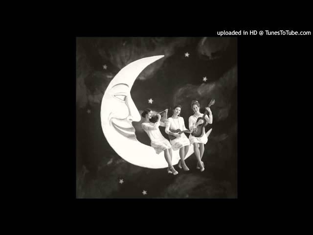 Cvrček muzikant - Paper Moon Trio