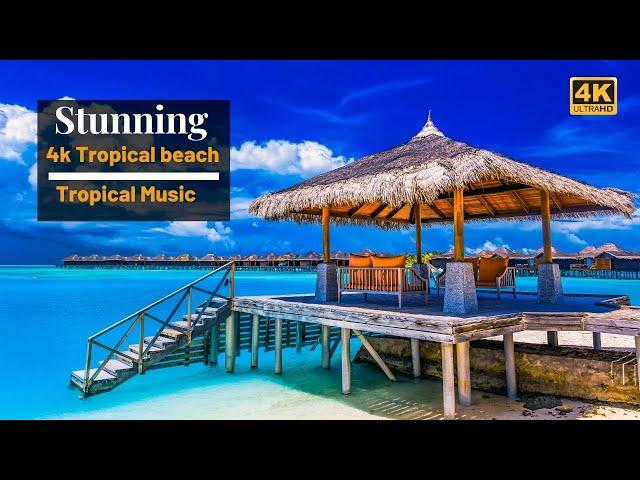 4k Tropical Beach | Beautiful Tropical Music | Chill & House Music | Maldives Island & Bora Bora