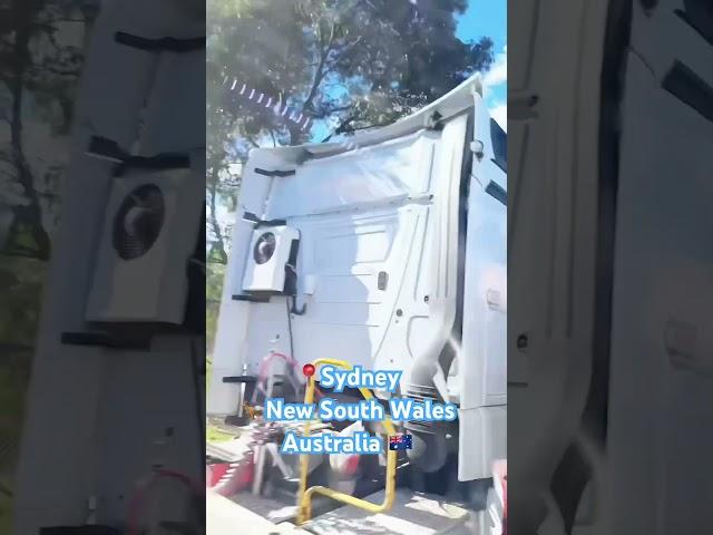 Sydney street #australia  #sydney  #street  #drive  #drivingfails #driving  #realestate  #tree ng