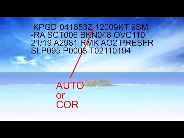 Ep. 22: METARs Explained in Less than 5 Mins | Aviation Weather