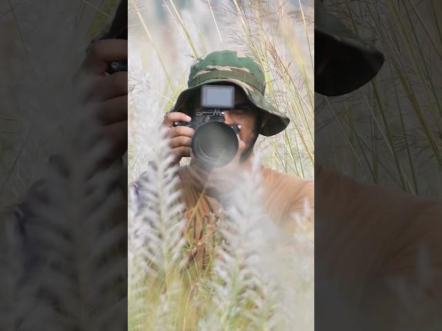 Nature Photography  #shorts  #shortsvideo  #shortsyoutube  #photography   #india #whatsappstatus