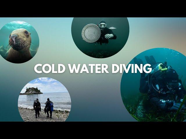 Cold Water Diving, What to Expect | Vancouver BC, Canada